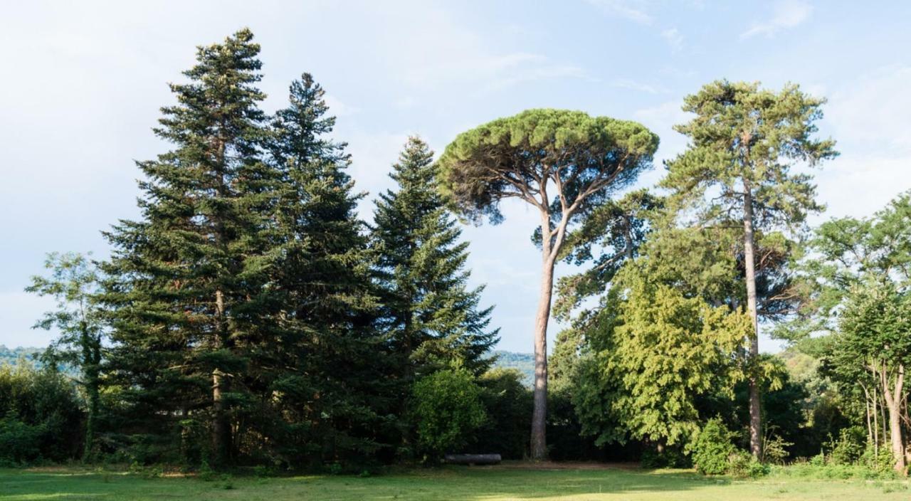 Chateau De Montcaud 撒波兰 外观 照片